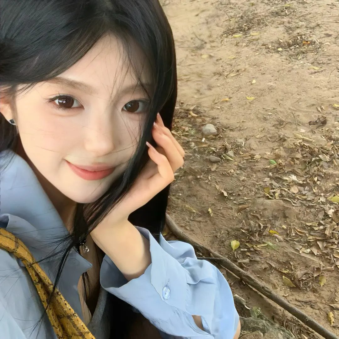 鱼与猫